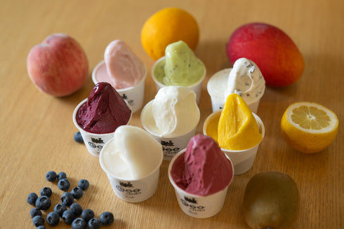 CENRO ジェラート【各1個 6個入】<12月1日 発売開始>