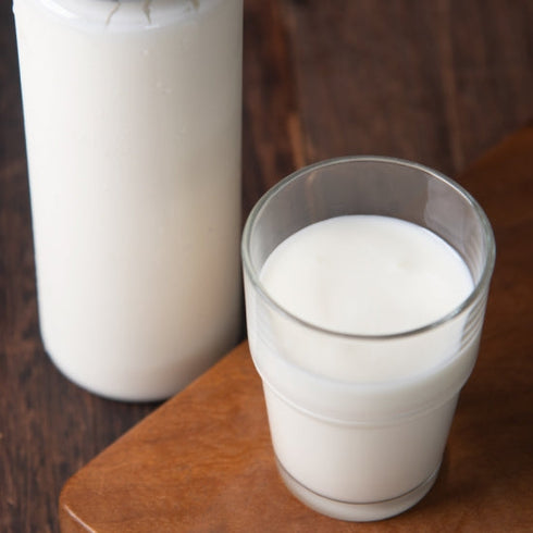 飲むヨーグルト -プレーン- <ギリシャヨーグルト専門店 F -エフ- >【500g×3本入】(ボトル)