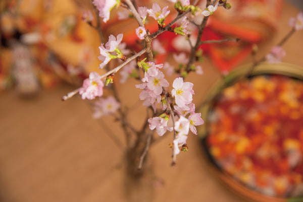 池川生花店さんの桃の花＜一束3本程度＞